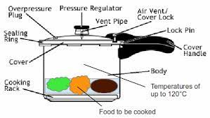 http://hometechgrow.com/wp-content/uploads/2022/11/pressure_cooker_food.jpg