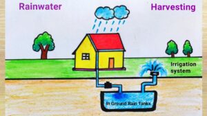 rainwater harvesting System