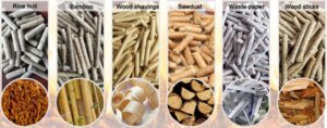 types of biomass from waste