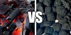 lump charcoal vs charcoal briquette