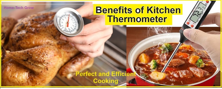 Scope of kitchen thermometer for Efficient and Precision Cooking -  Home-Tech Grow