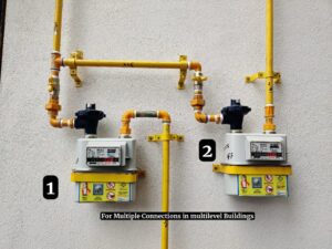 PPNG gas meters for Home