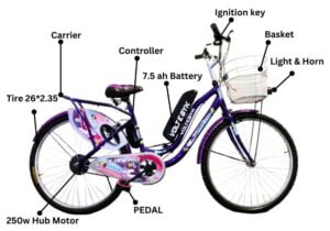 Parts of ladies electric cycle