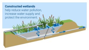 constructed wetlands to reduce pollution