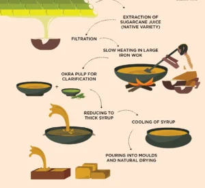 organic jaggery making process