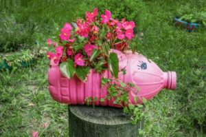 colorful-plastic-oil-jar to plants