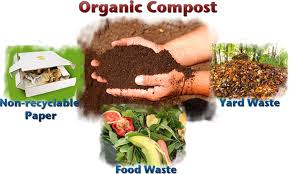 organic Compost Nutrient-Rich Organic