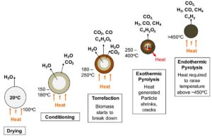 basic principle of biochar process