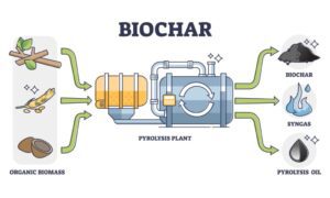 biochar-production-process-steps