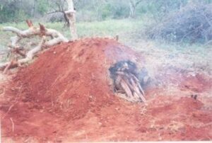 earth mound charcoal making