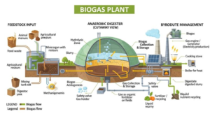 Biogas CNG schematic
