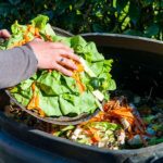 How to minimize food waste in home