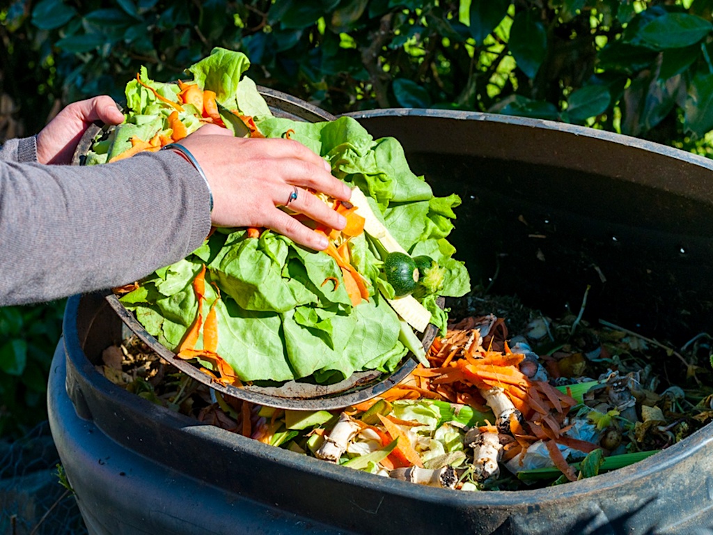 How to minimize food waste in home