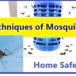 Best Methods for mosquito killing in Home