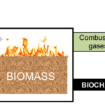 Application of biomass for charcoal making