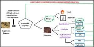 Feedstock to enhance biogas production
