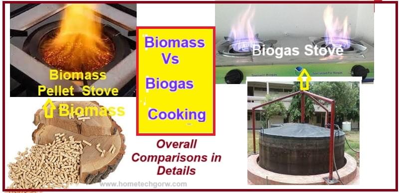 comparison of biomass and biogas cooking