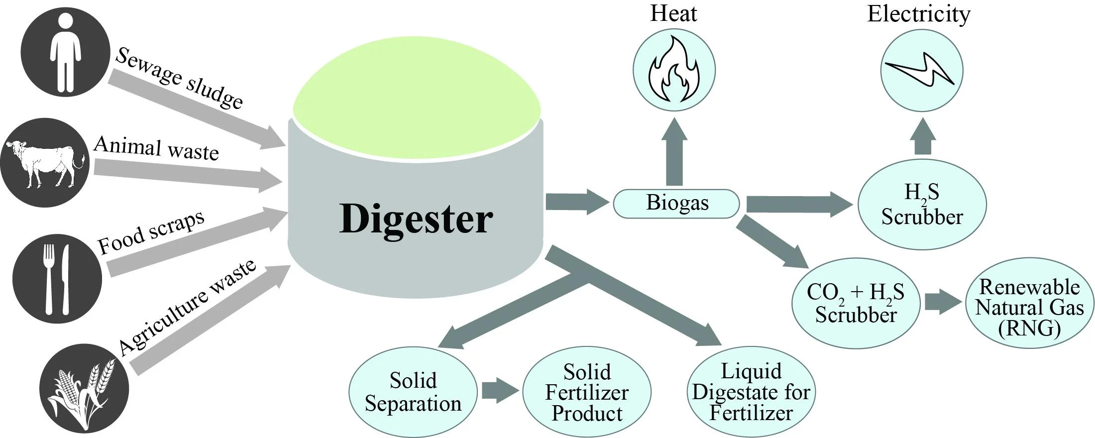 Schematic Biogas to CNG Plant